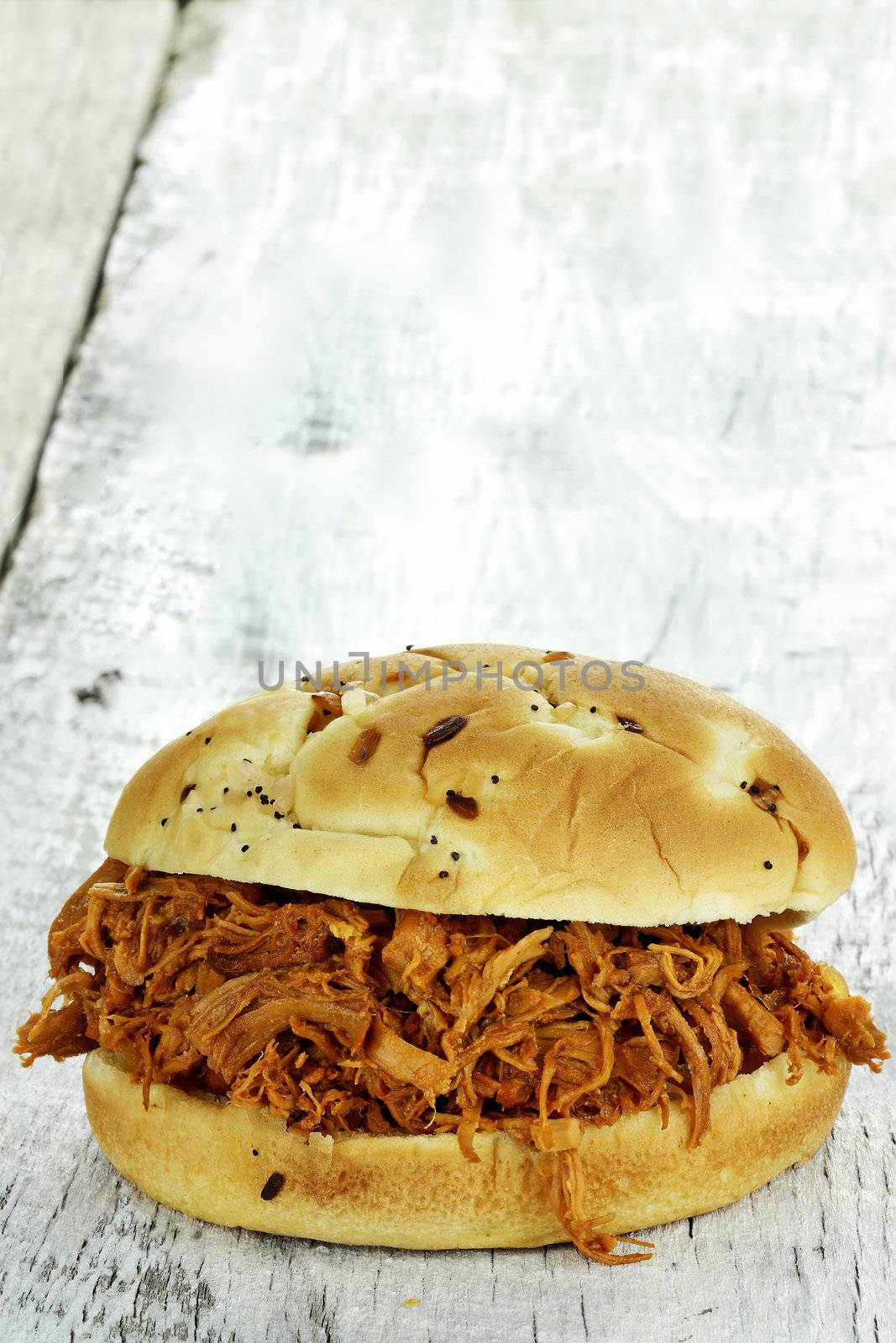 Pulled Chicken Sandwich by StephanieFrey