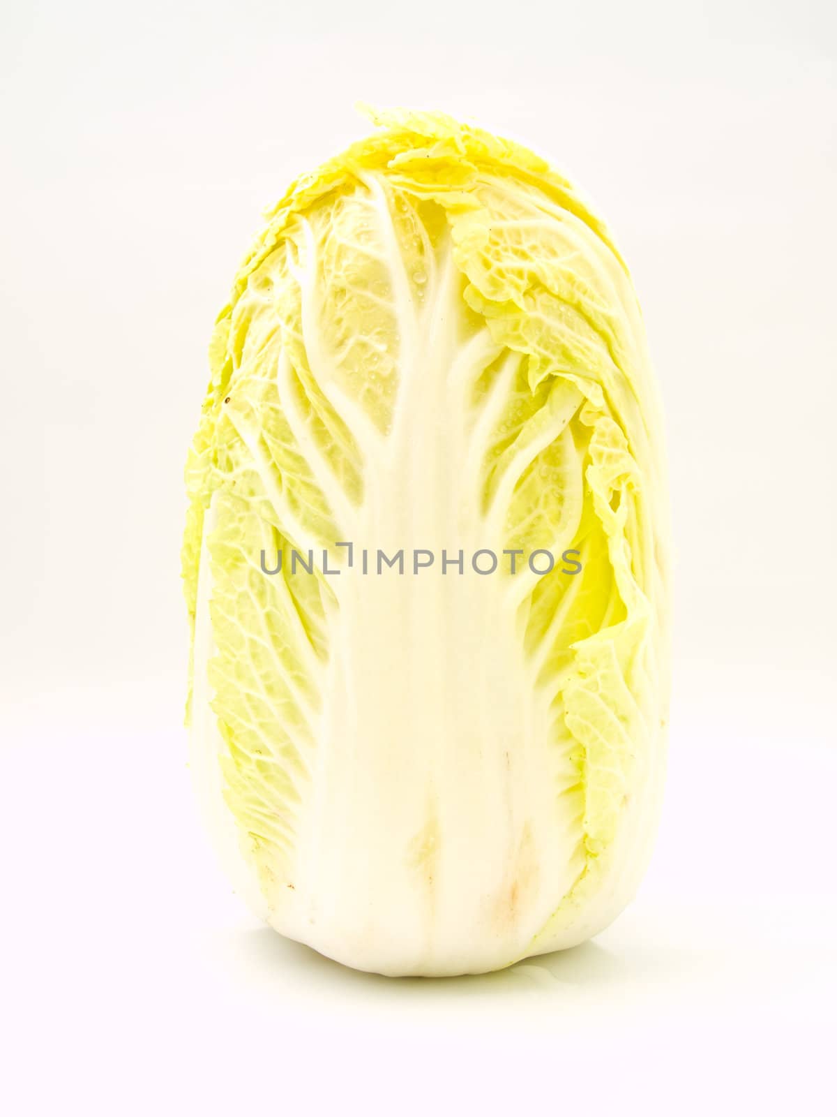 Fresh Chinese cabbage