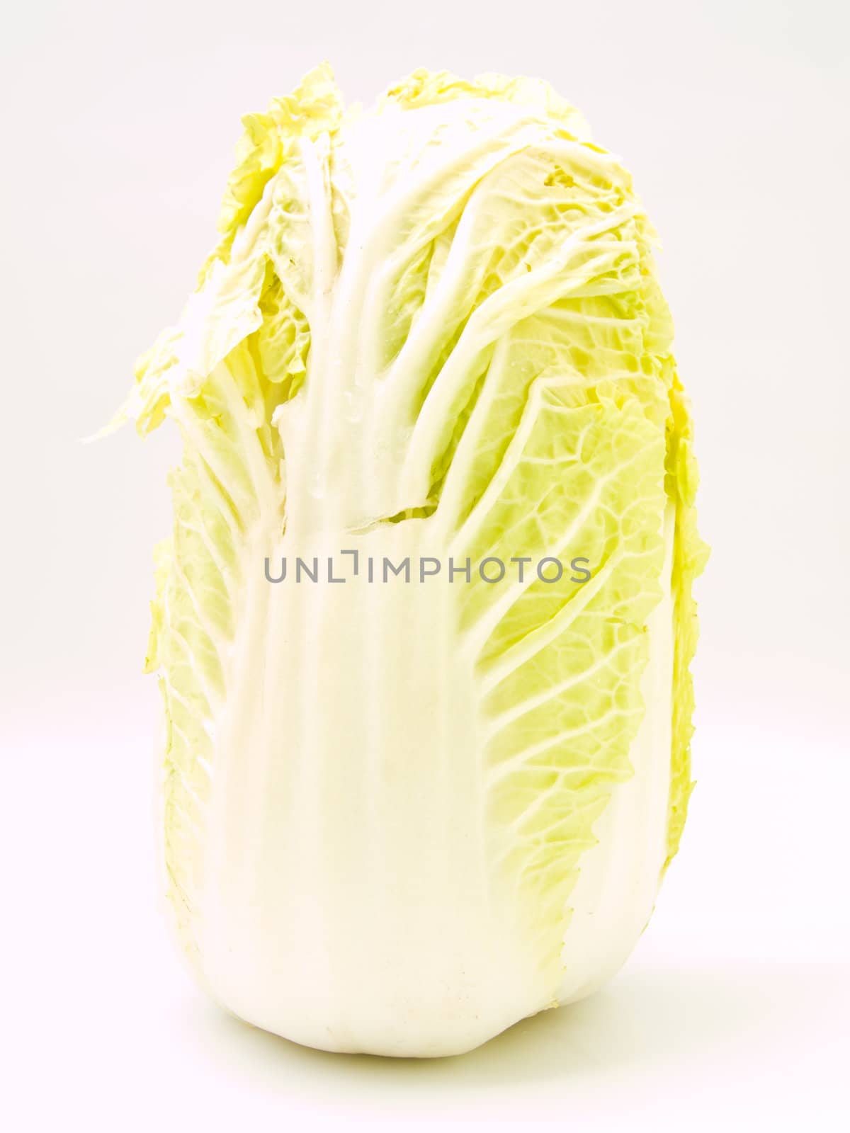 Fresh Chinese cabbage