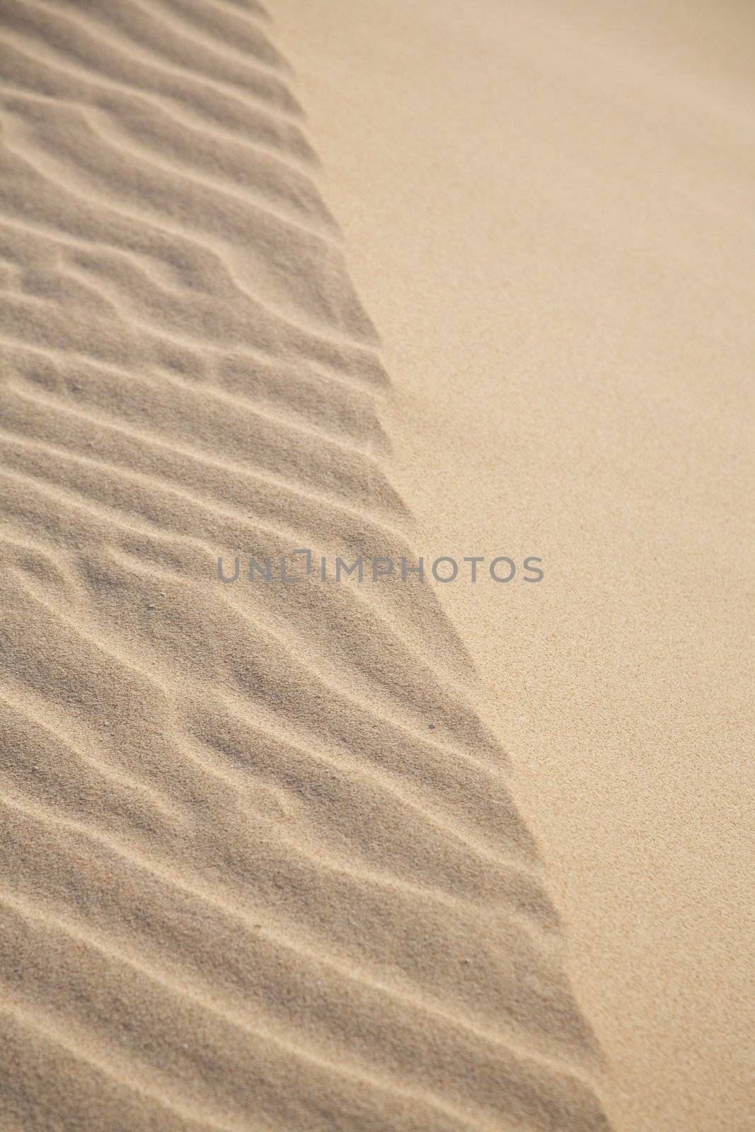 texture sand dune by quintanilla