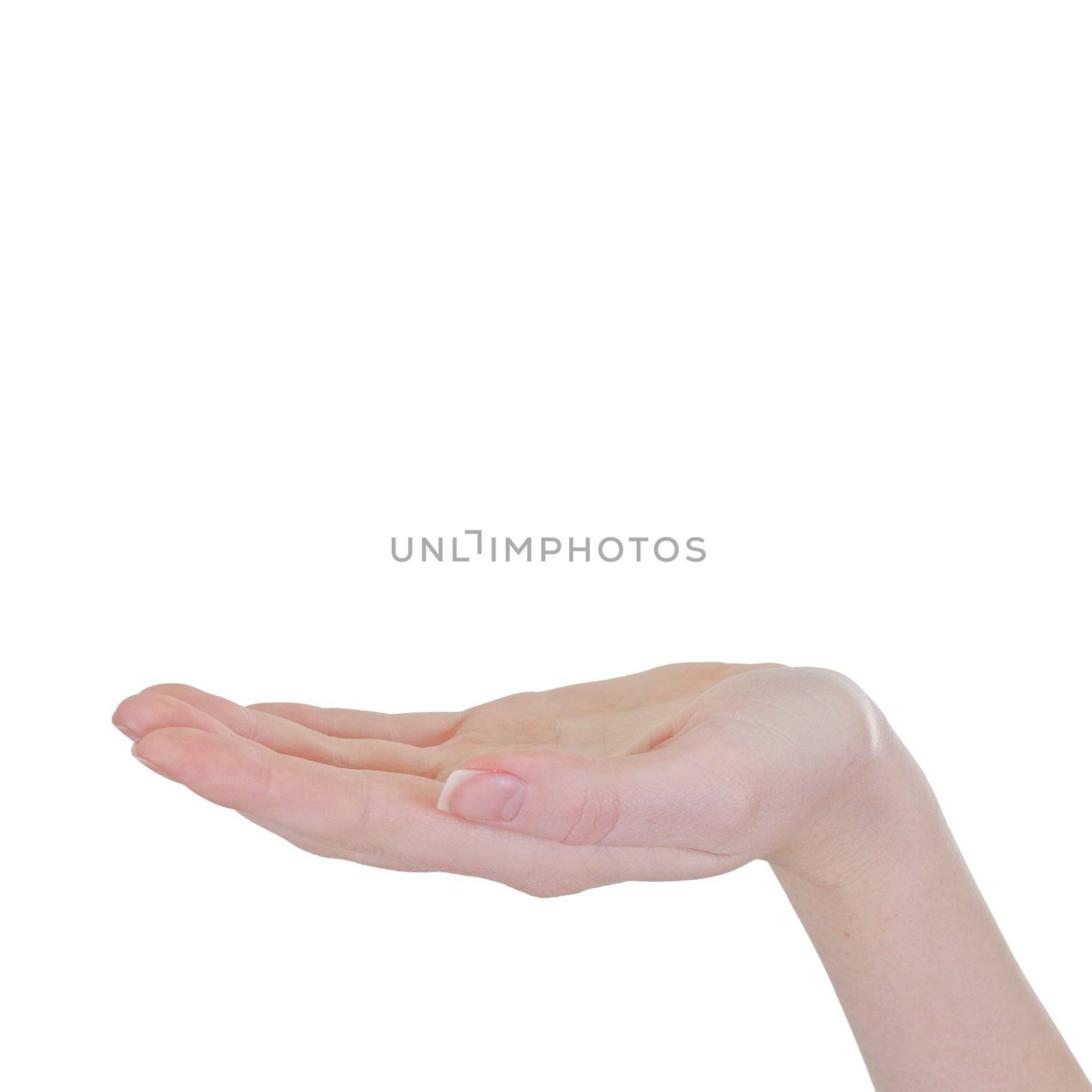 Close-up ofl woman's hand, palm up. Isolated over white background 