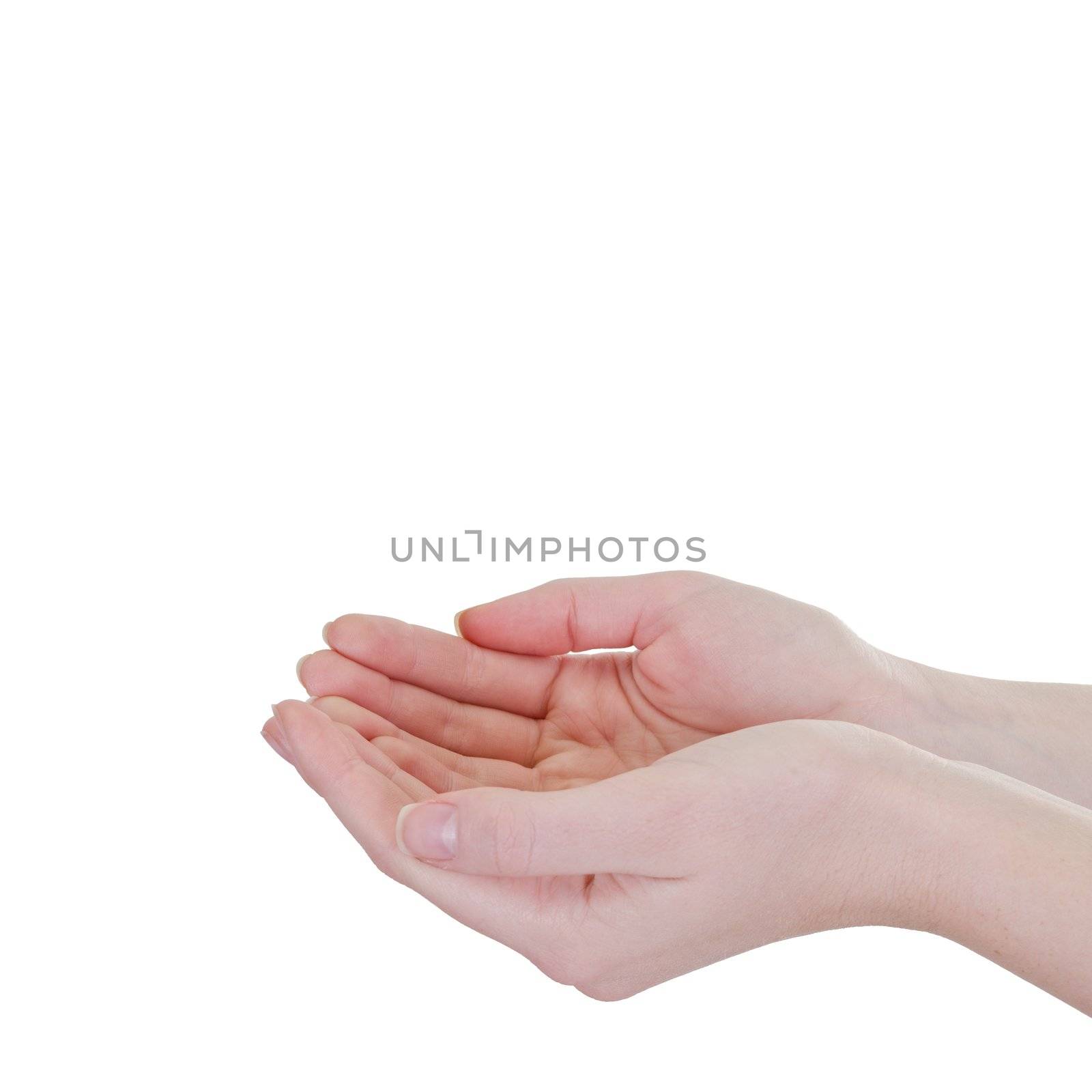 Empty woman's hand isolated on white, close-up profile angle shot - square