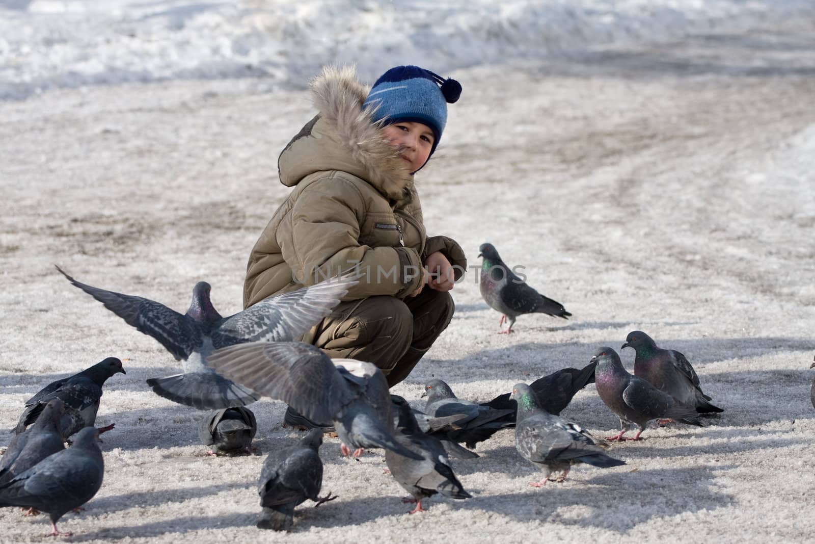 The boy feeds pigeons in the winter