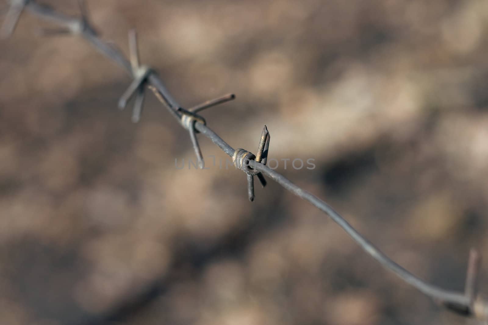 Piece of a barbed wire - small depth of sharpness