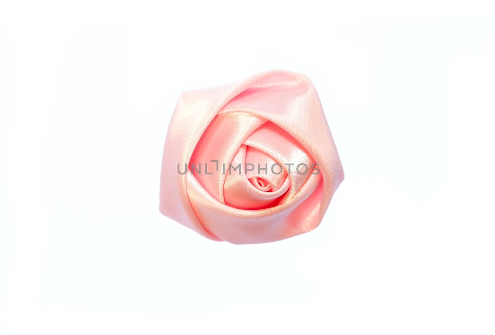 pink  flower  isolated on white background.