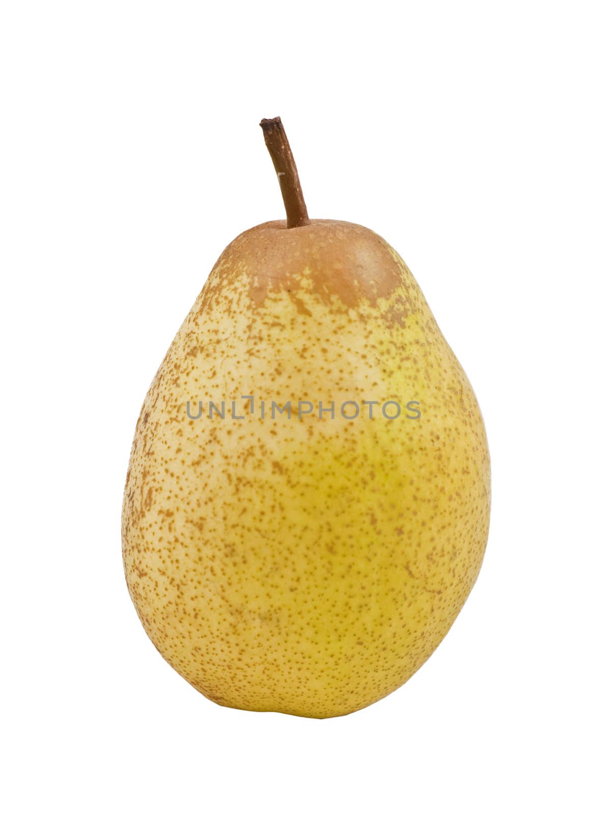 A single pear isolated on a white background