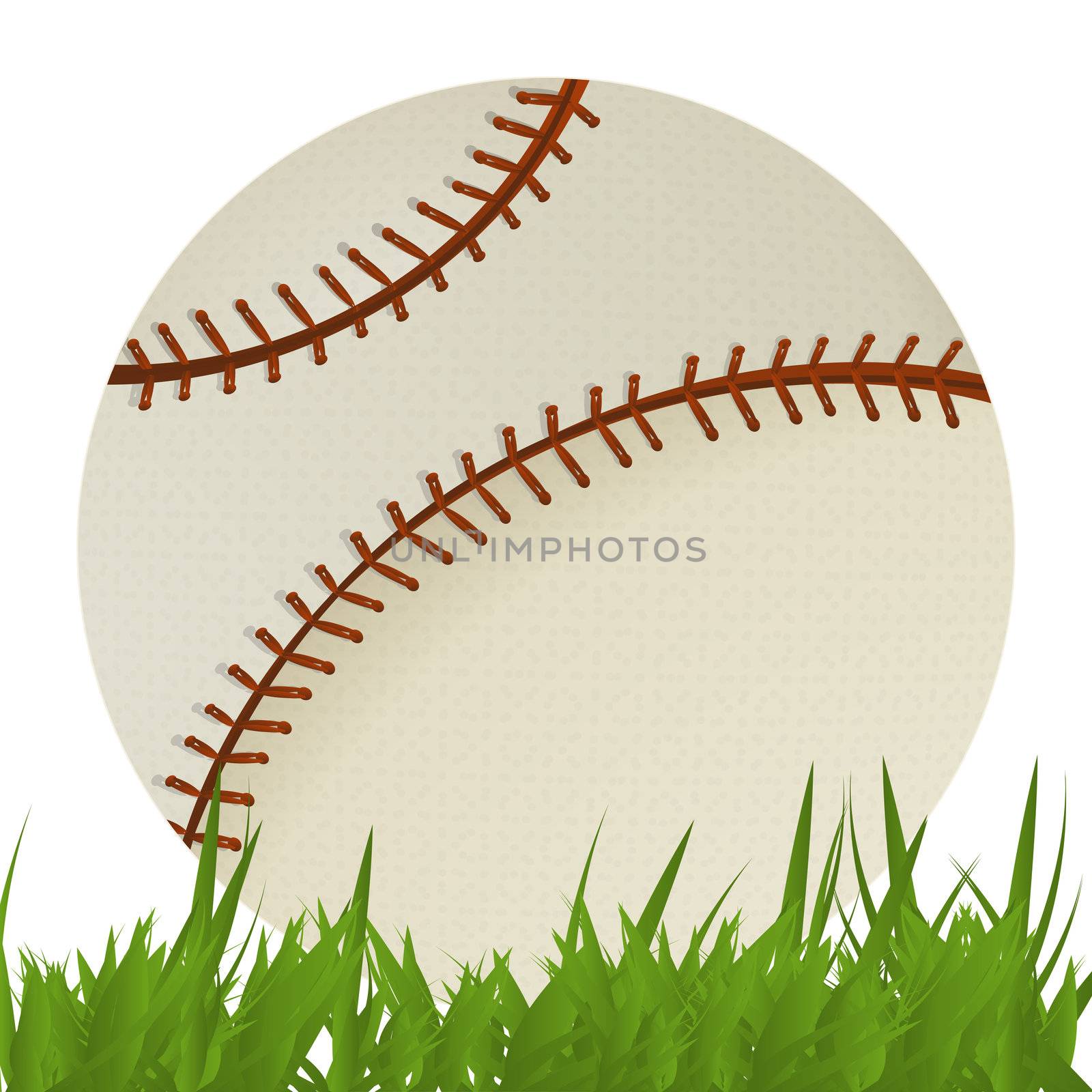 Baseball ball in the grass, isolated objects over white background