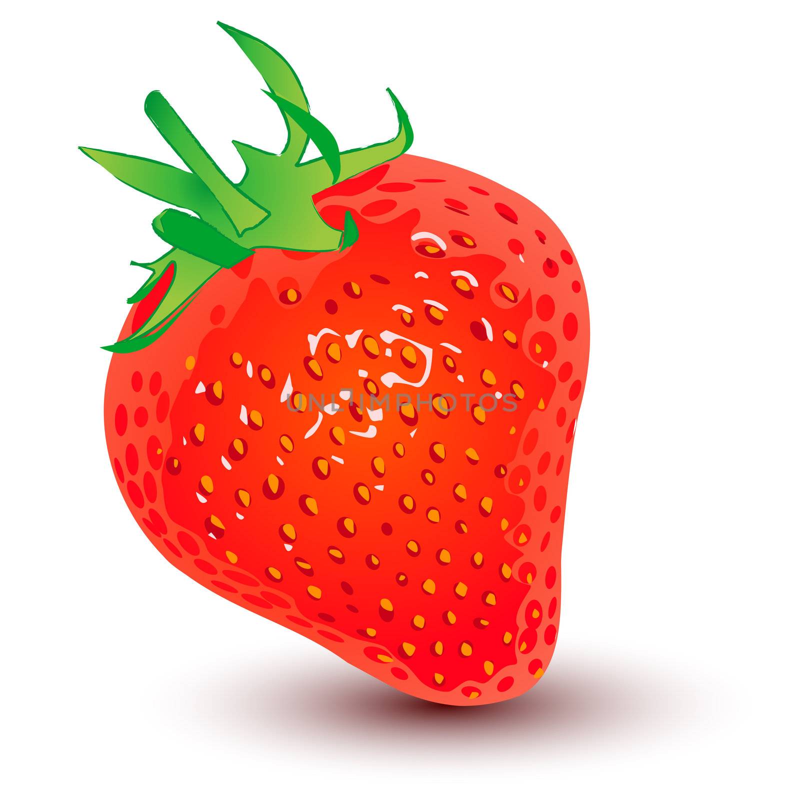 Fresh strawberry, isolated object over white background
