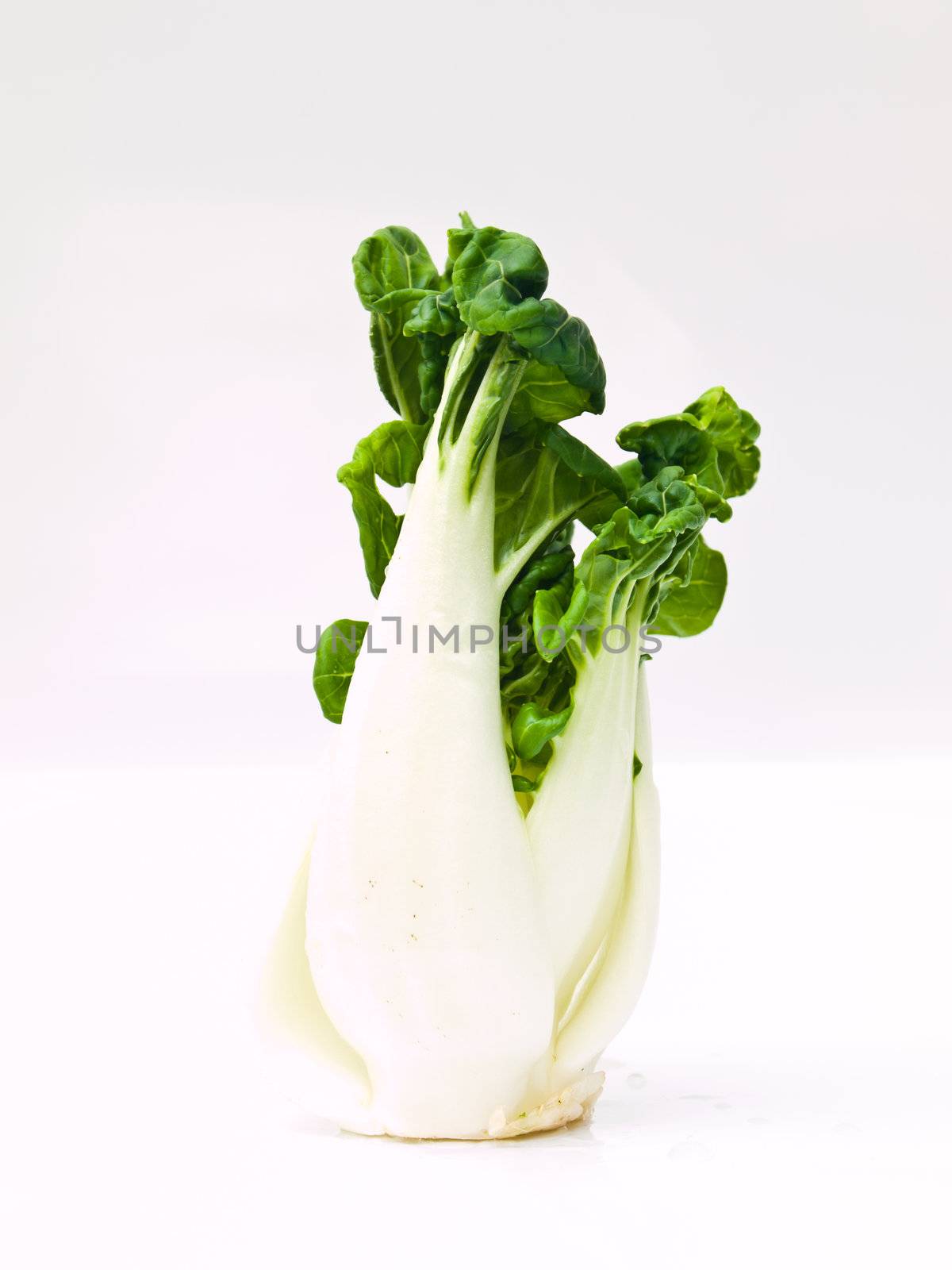 Fresh baby bok choy, Brassica rapa chinensis, isolated on white background