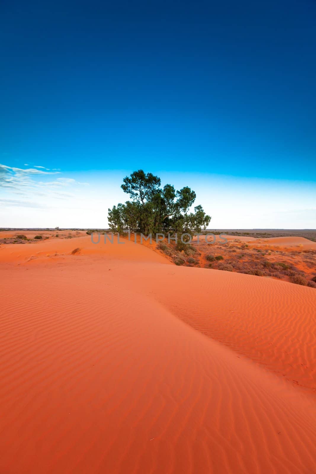 Red sand dune with ripple and blue sky by hangingpixels
