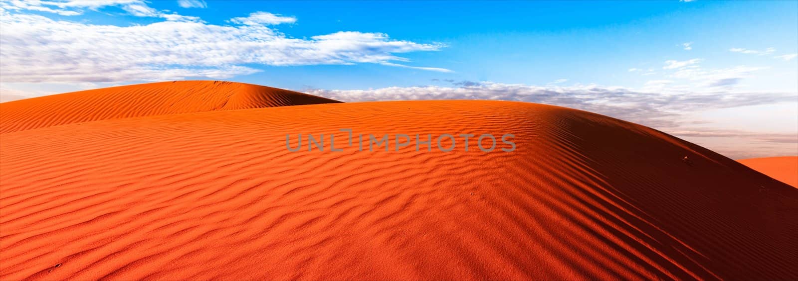 Red outback ripple sand dune desert with blue sky.