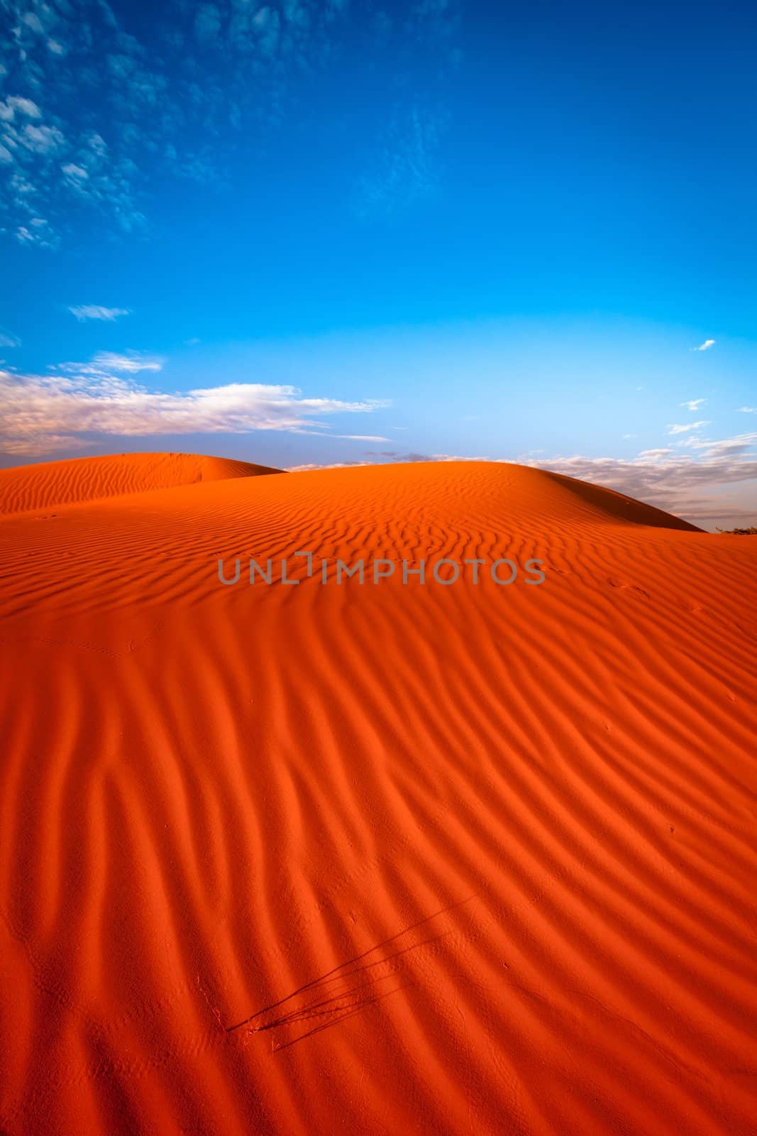 Red outback ripple sand dune desert with blue sky.