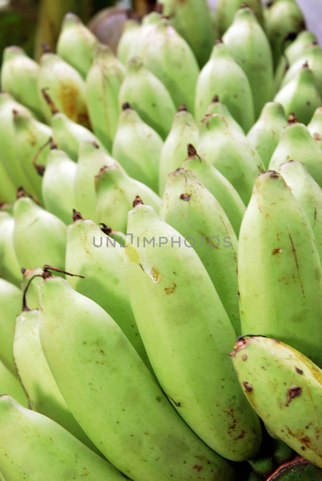 green bananas