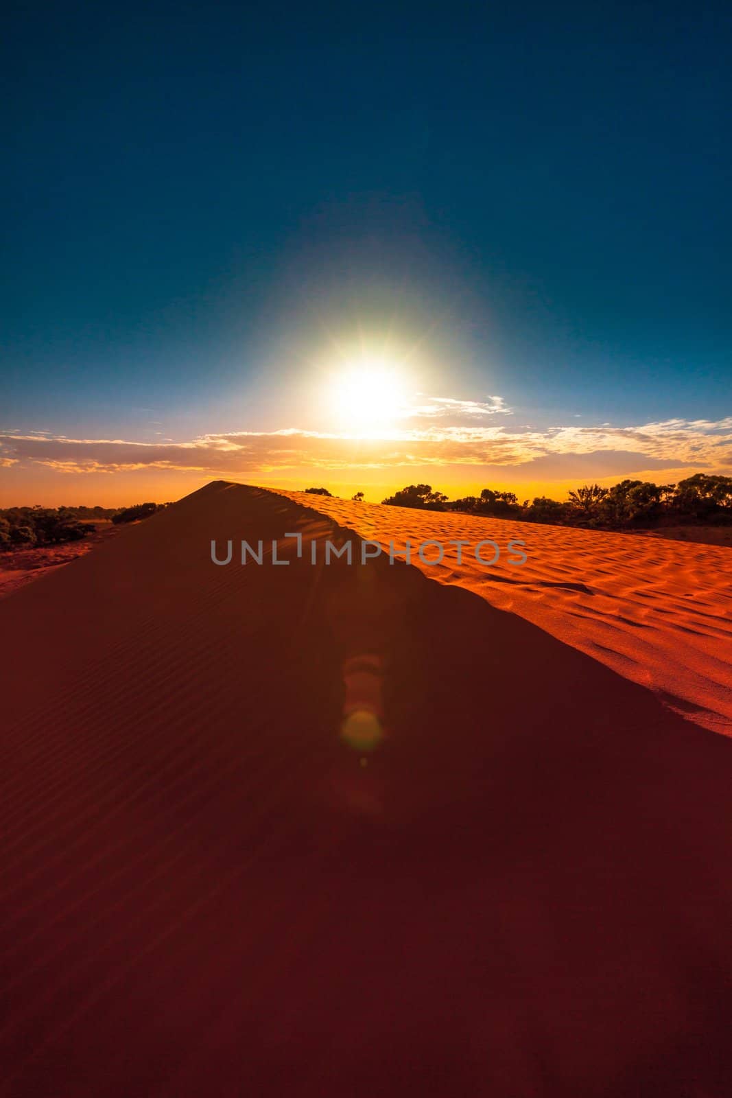 Red sand dune with ripple and blue sky by hangingpixels