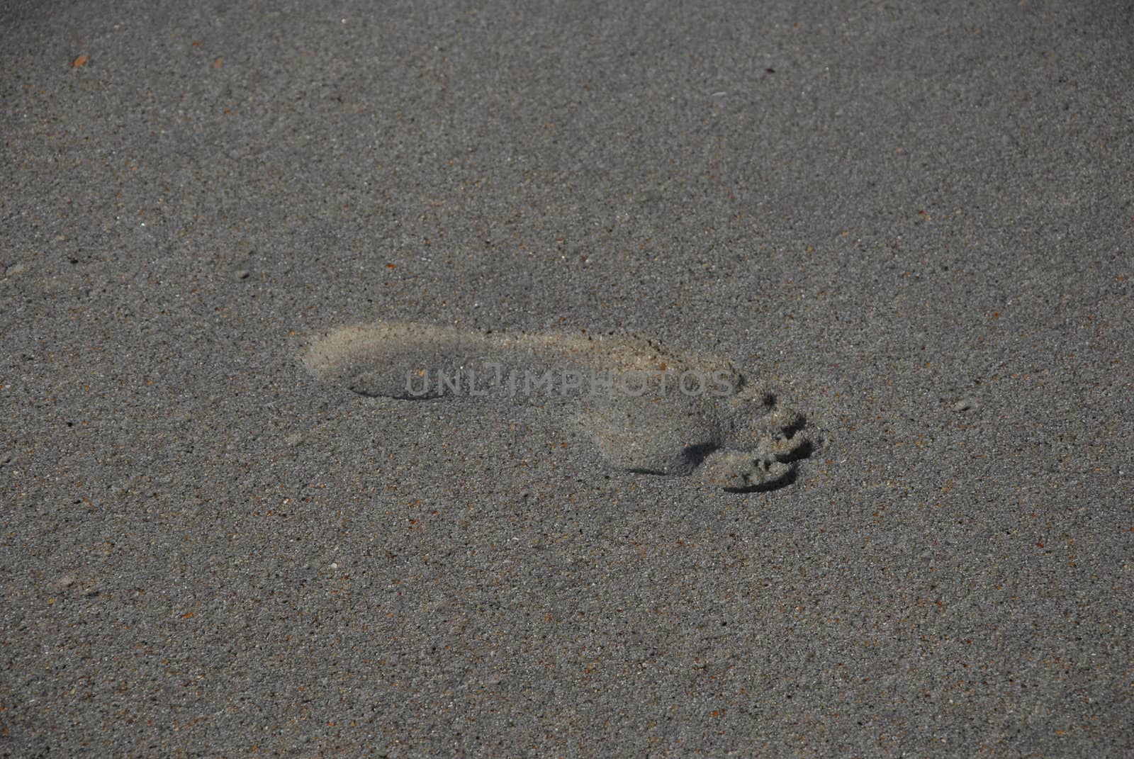 A single footprint in the sand at the beach