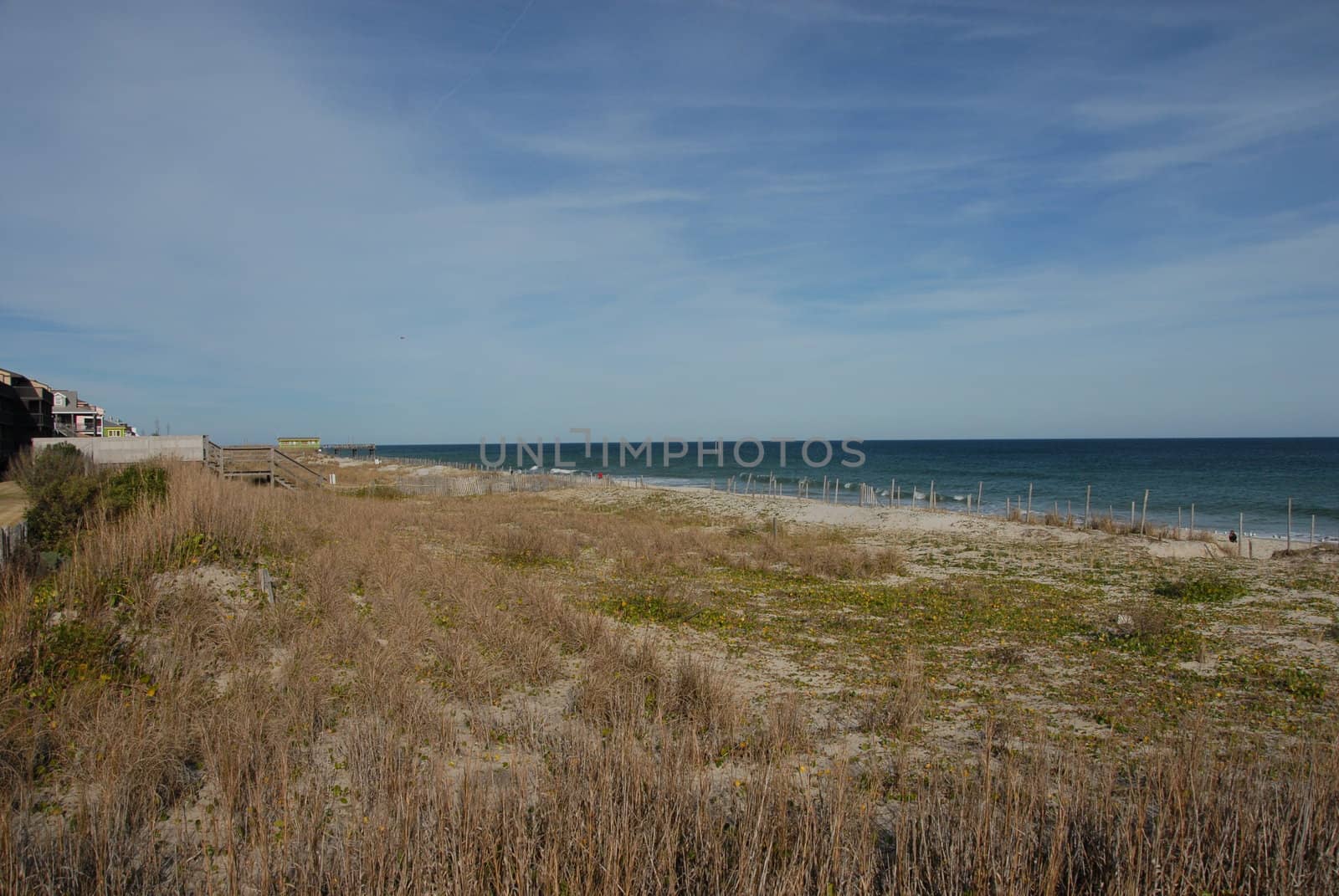 Along the shore in North Carolina on a bright day