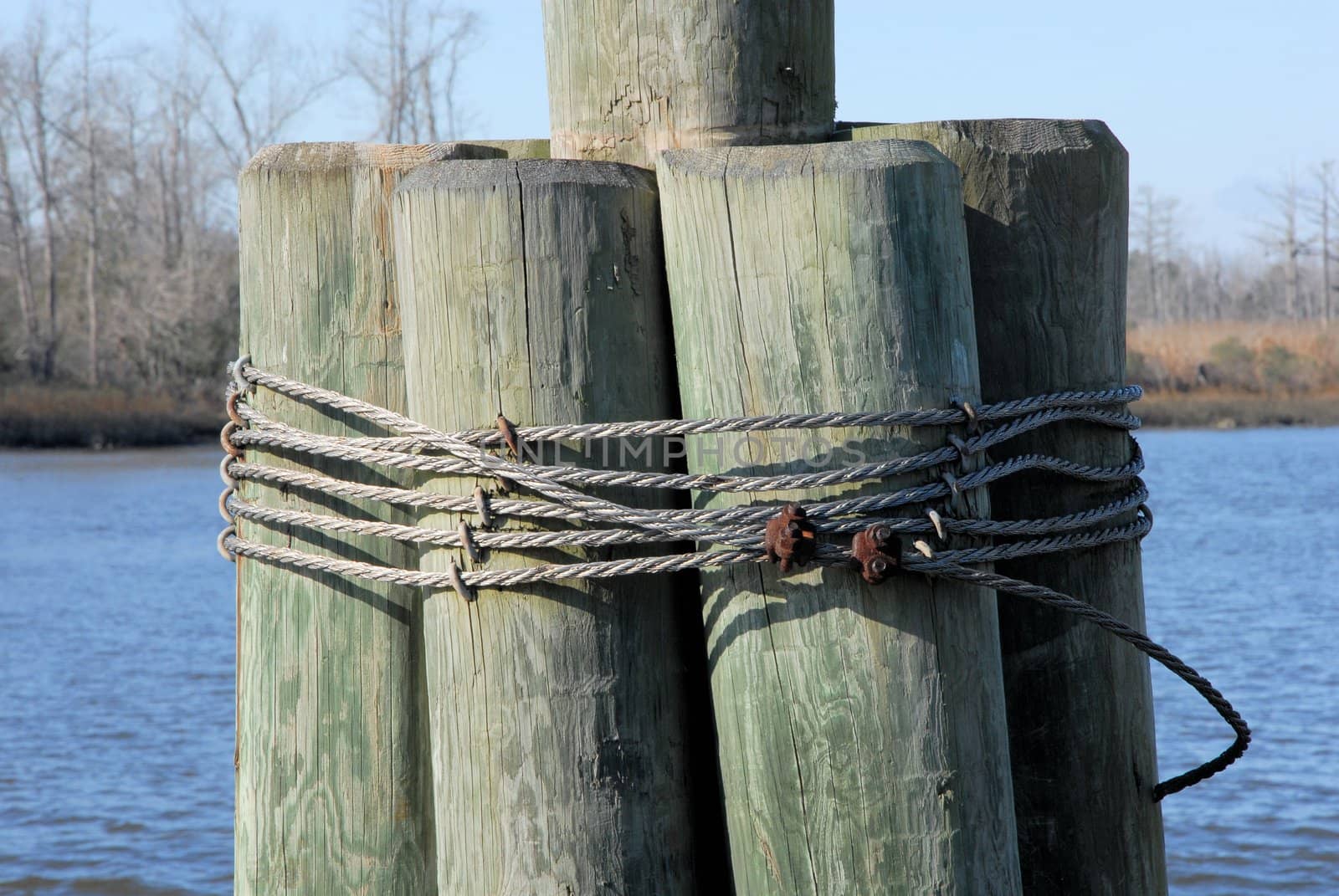 Old pylons along the dock ready for a boat to tie up.