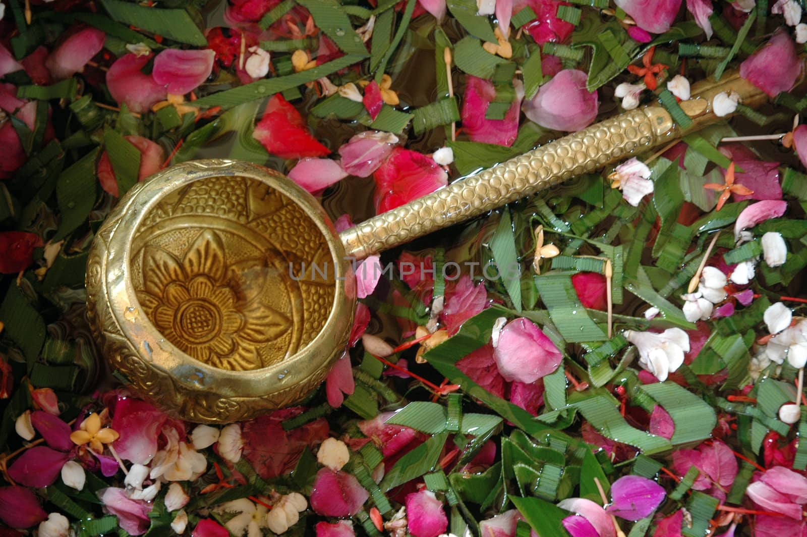 flower petals in water with golden scoop in used in Javanese Indonesia  traditional wedding ceremony