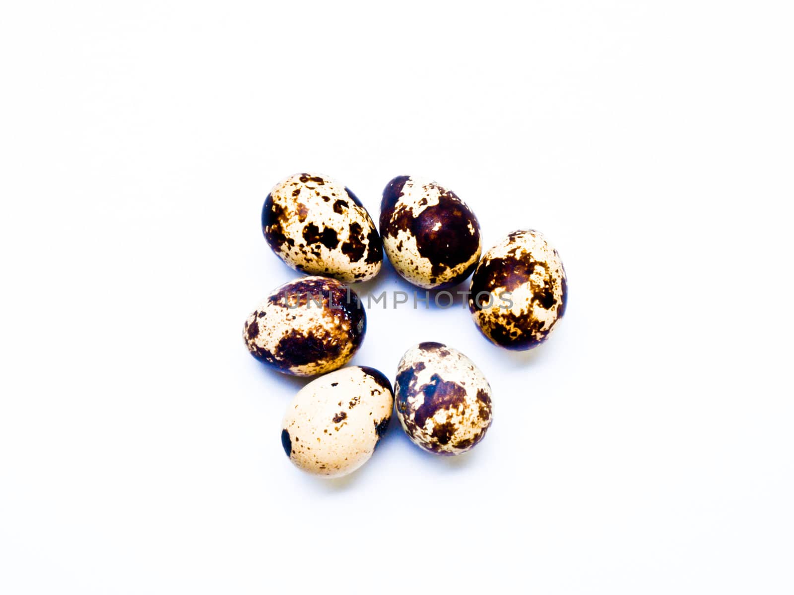 Quail eggs isolated on white background