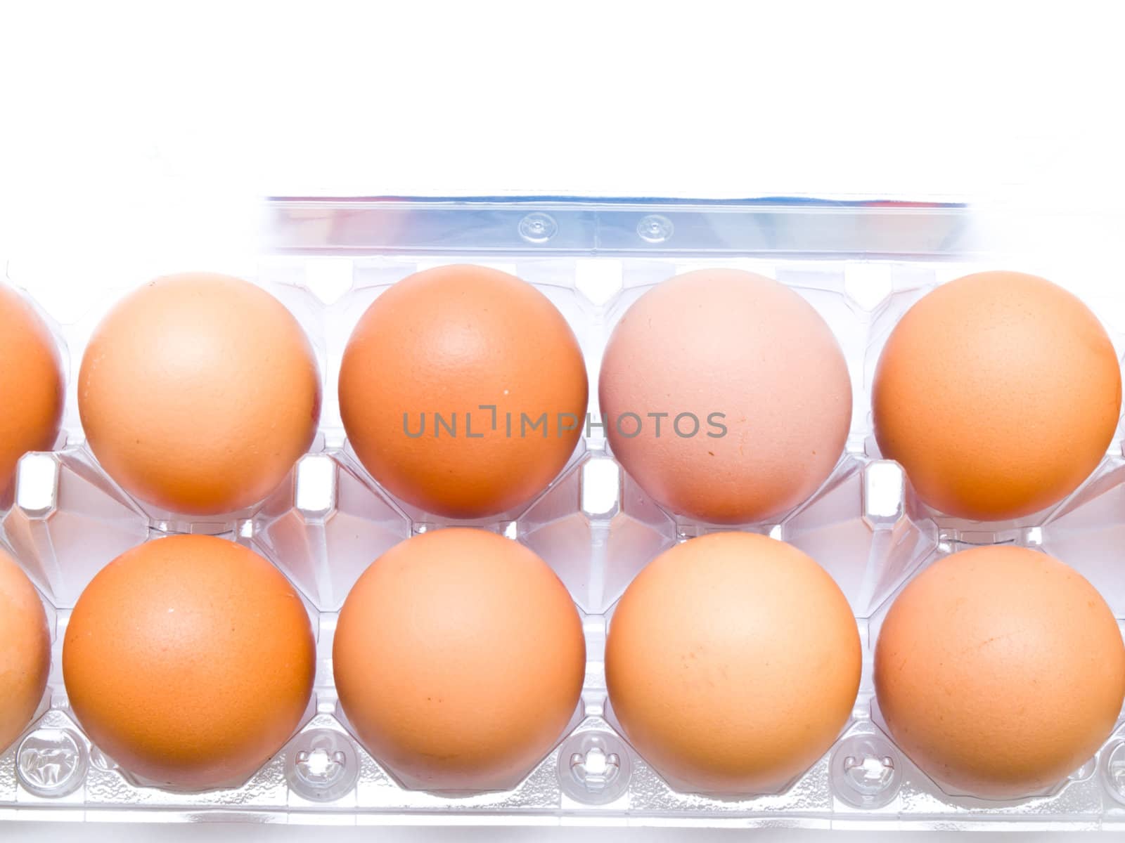 Eggs in plastic pack isolated on white background