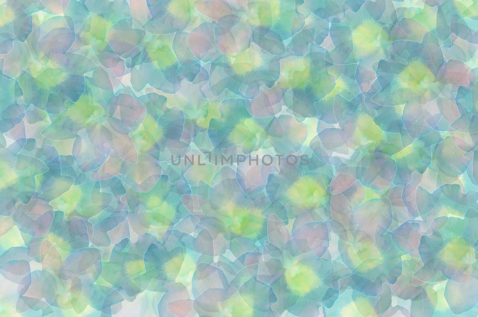 the beautiful  abstract  background with flowers