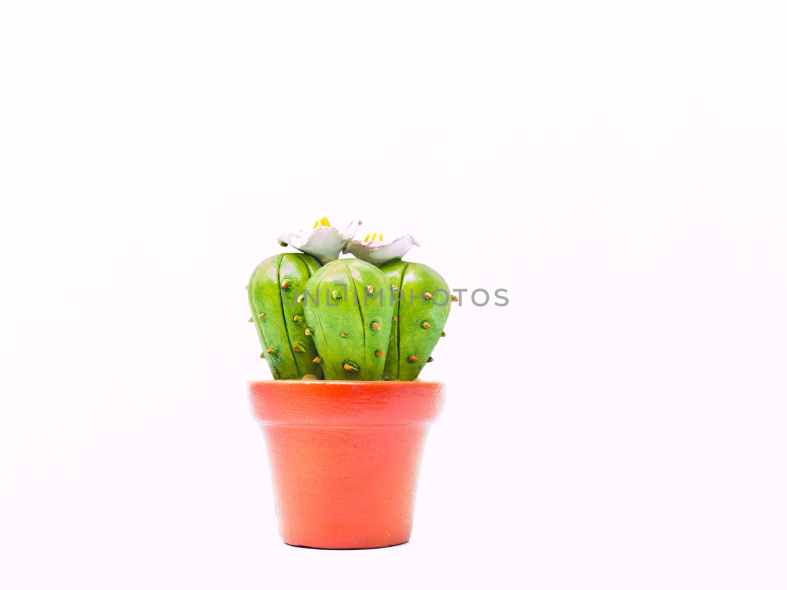 A miniature cactus model isolated on white background by gururugu