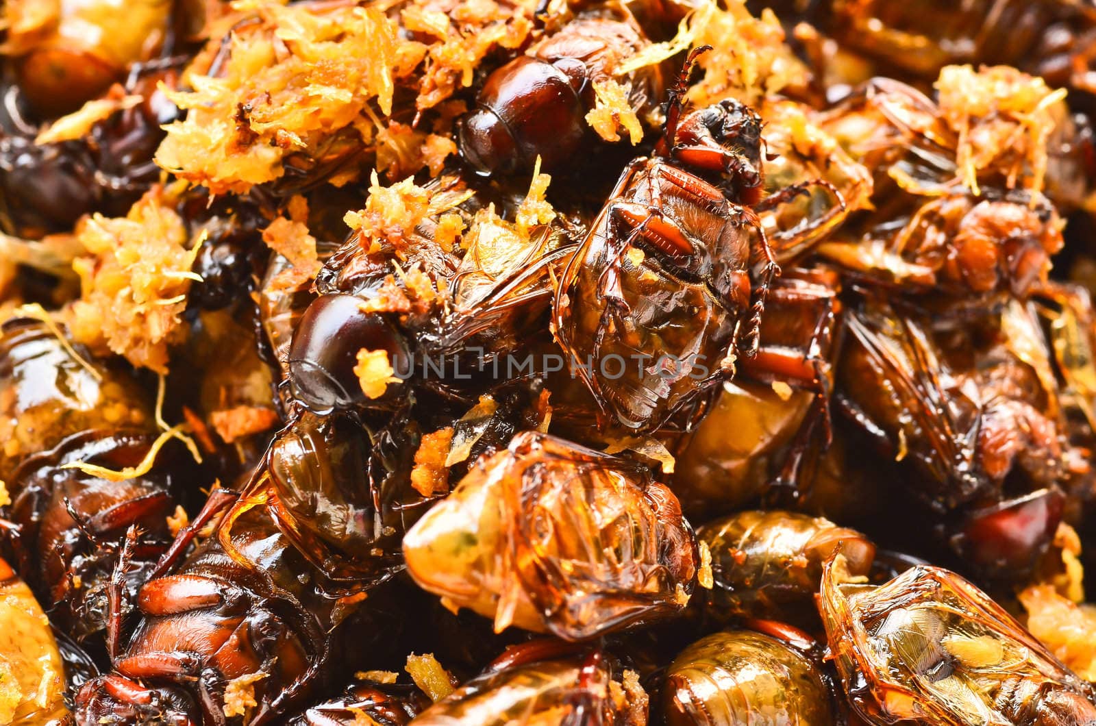 fried insects with garlic