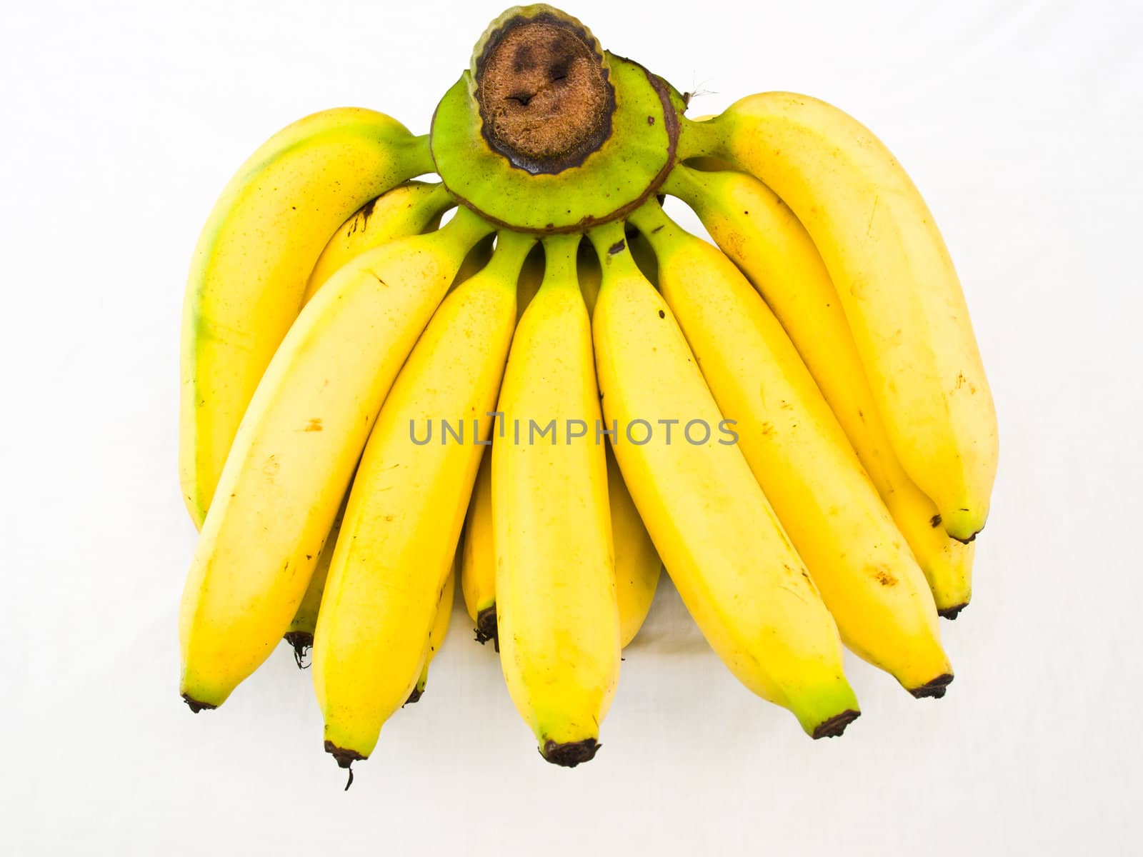 A bunch of ripe banansa isolated on white background