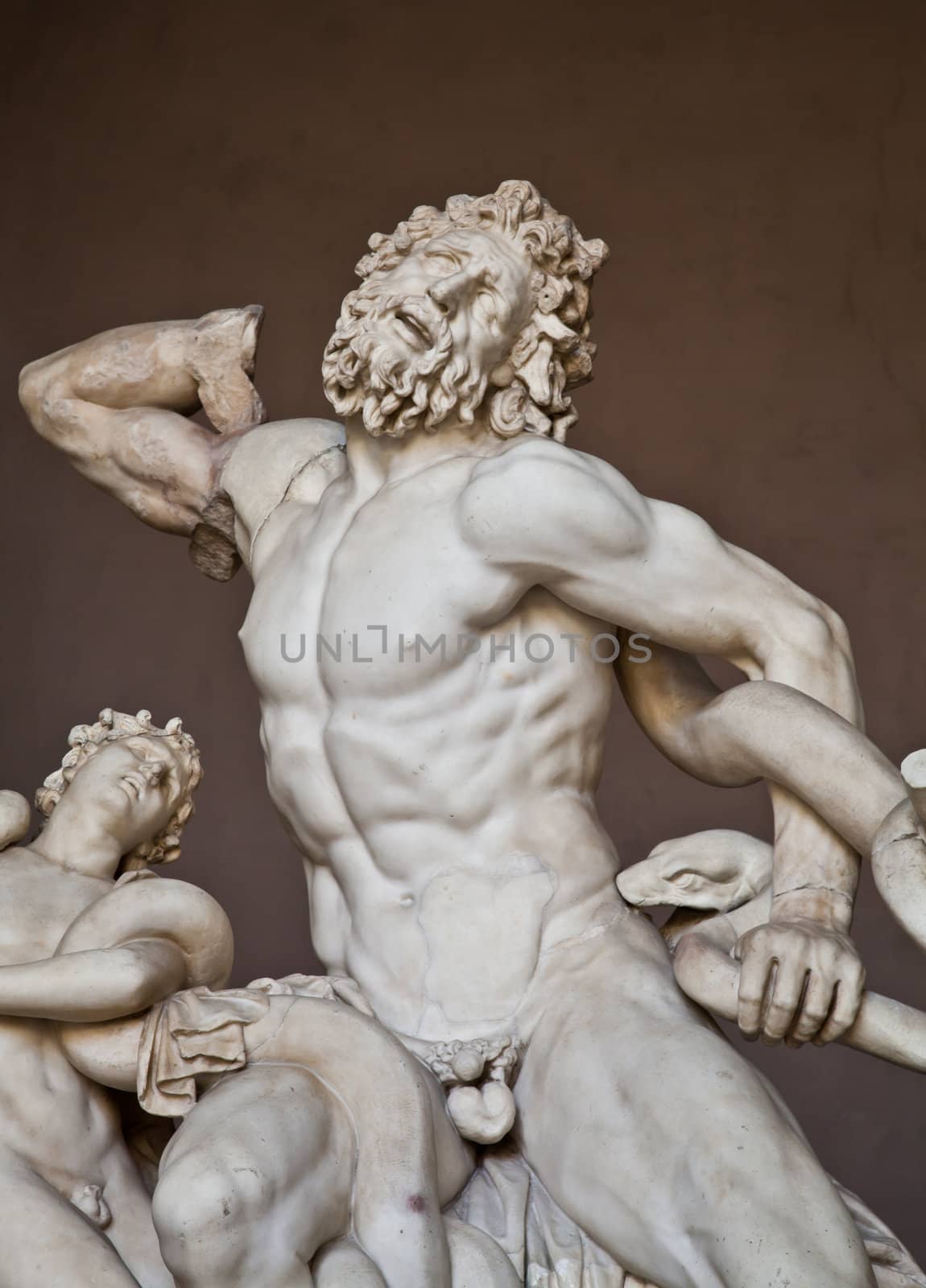Vatican Museums, Rome, Italy: collection of statues