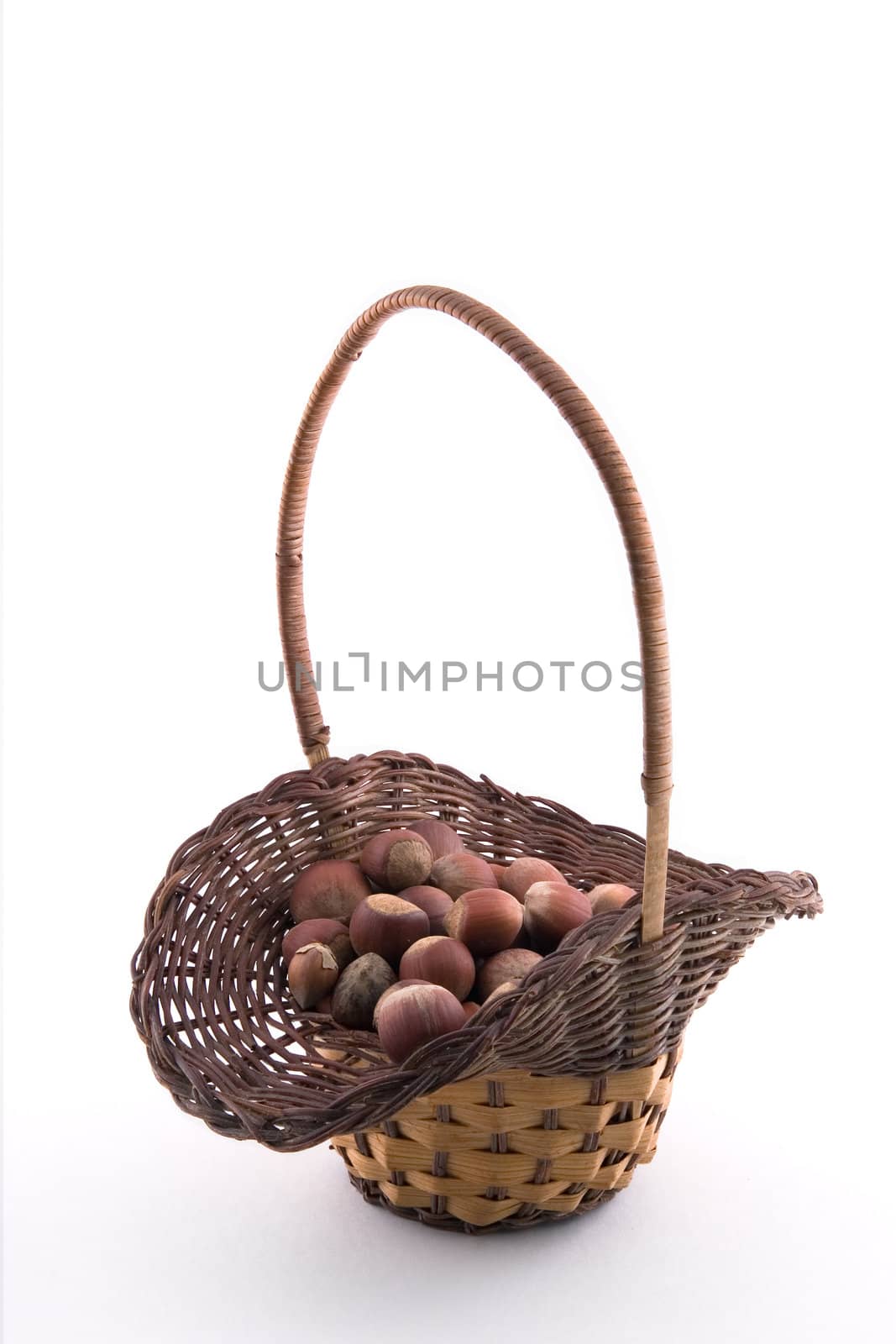 Wood nuts on a white background