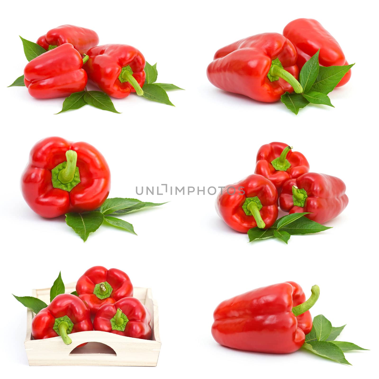 collection of pepper fruits by miradrozdowski