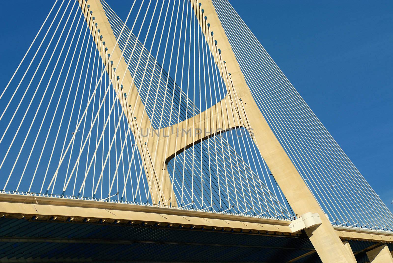 Vasco da Gama bridge is the largest in Europe over the Tagus river