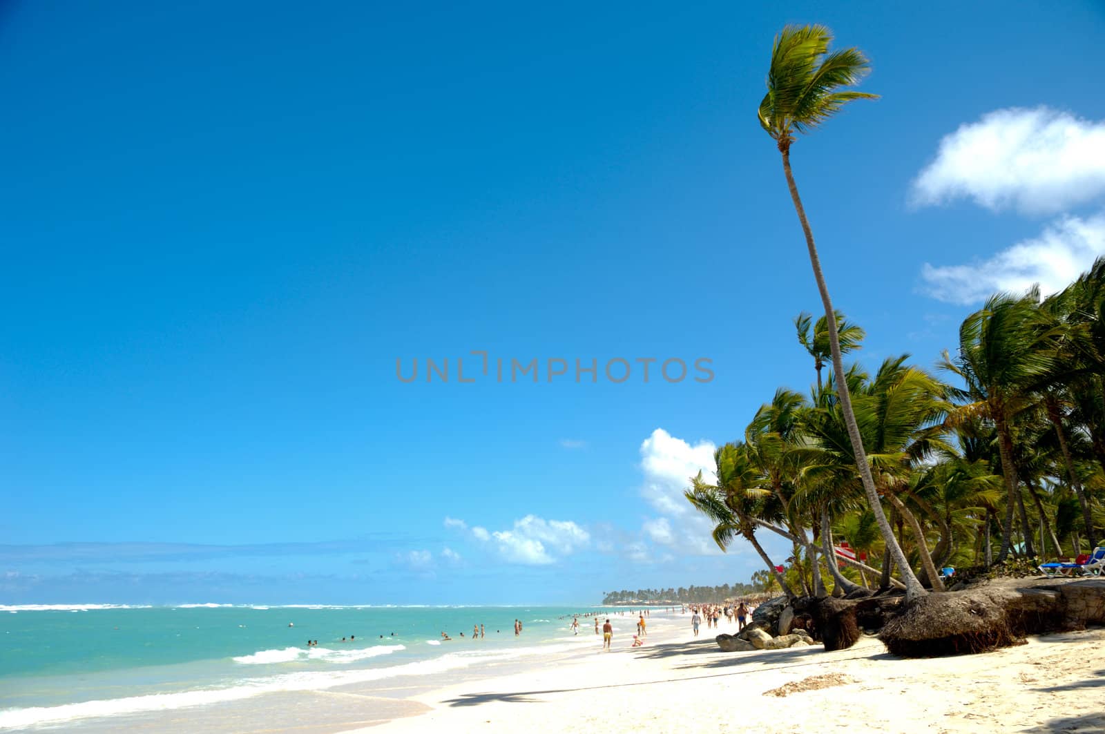 Palm hanging over exotic caribbean beach with the coast in the background.