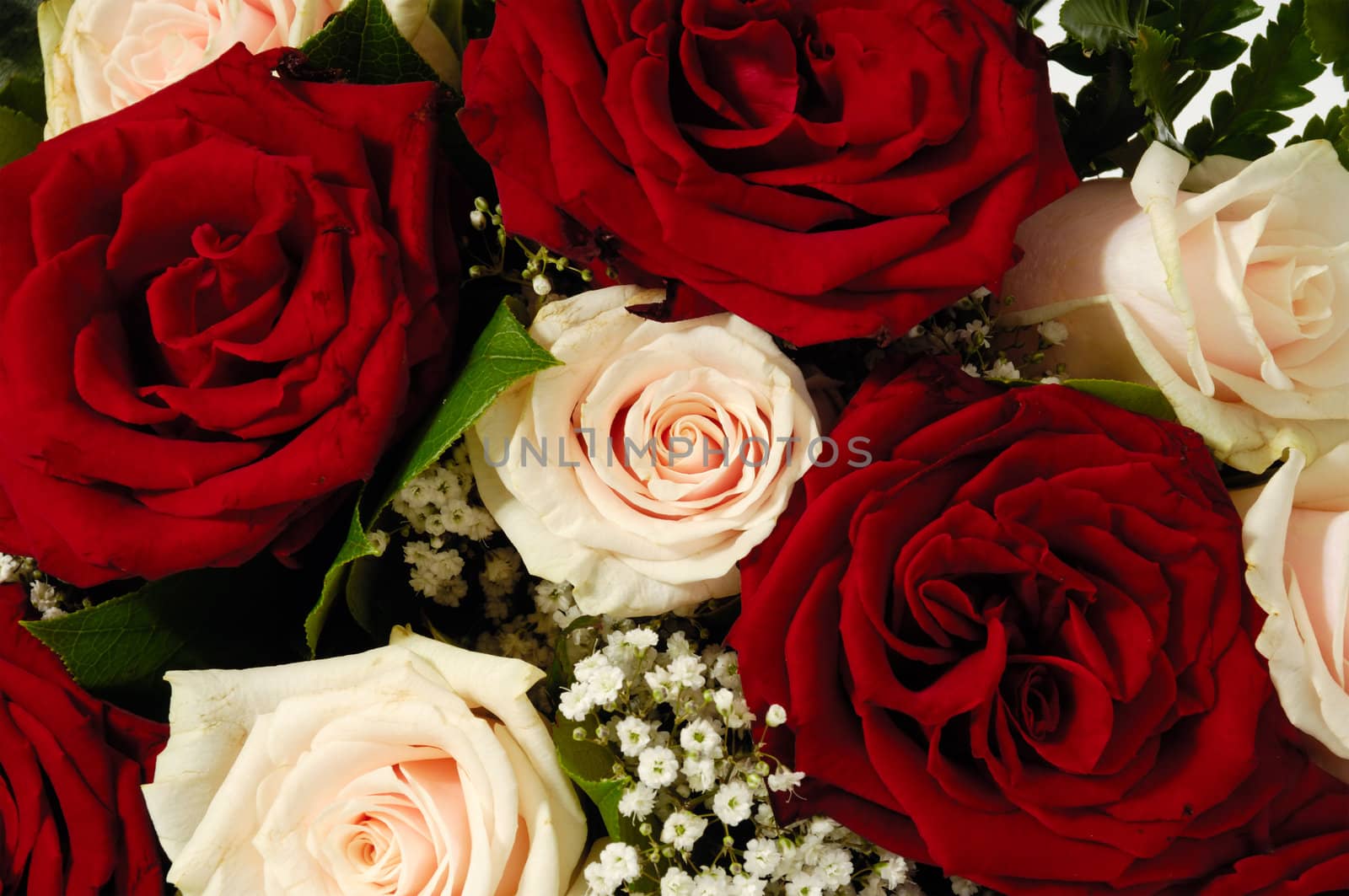 Flower bouquet of red and pink roses. 