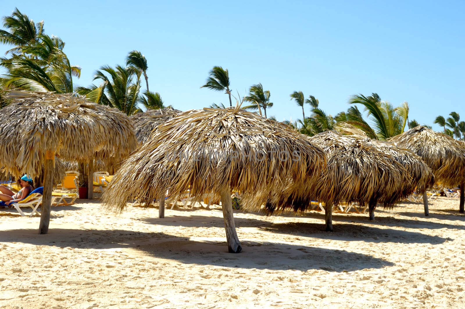 Rows of parasols on exotic beach.