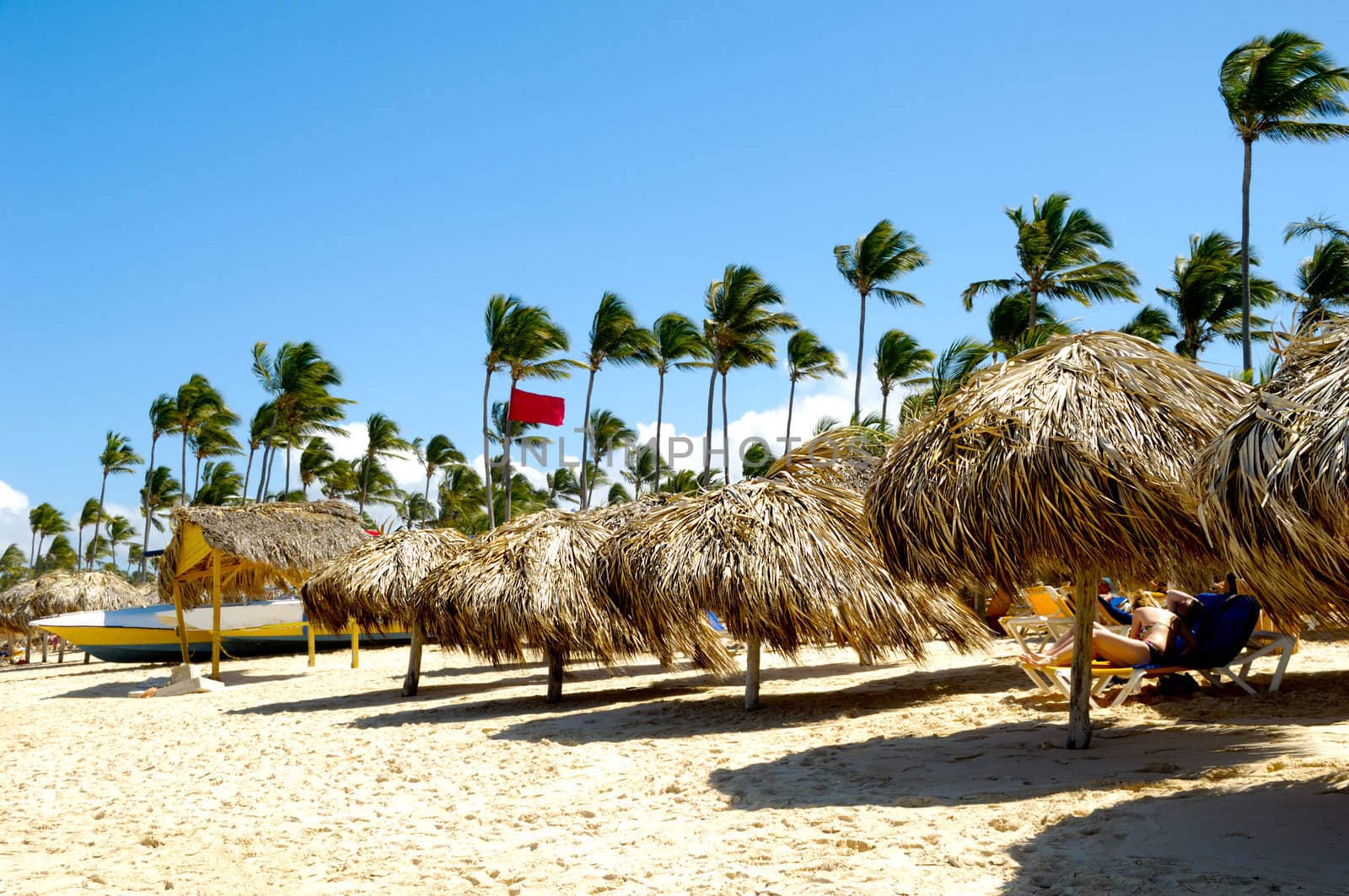 Parasols on beach by cfoto