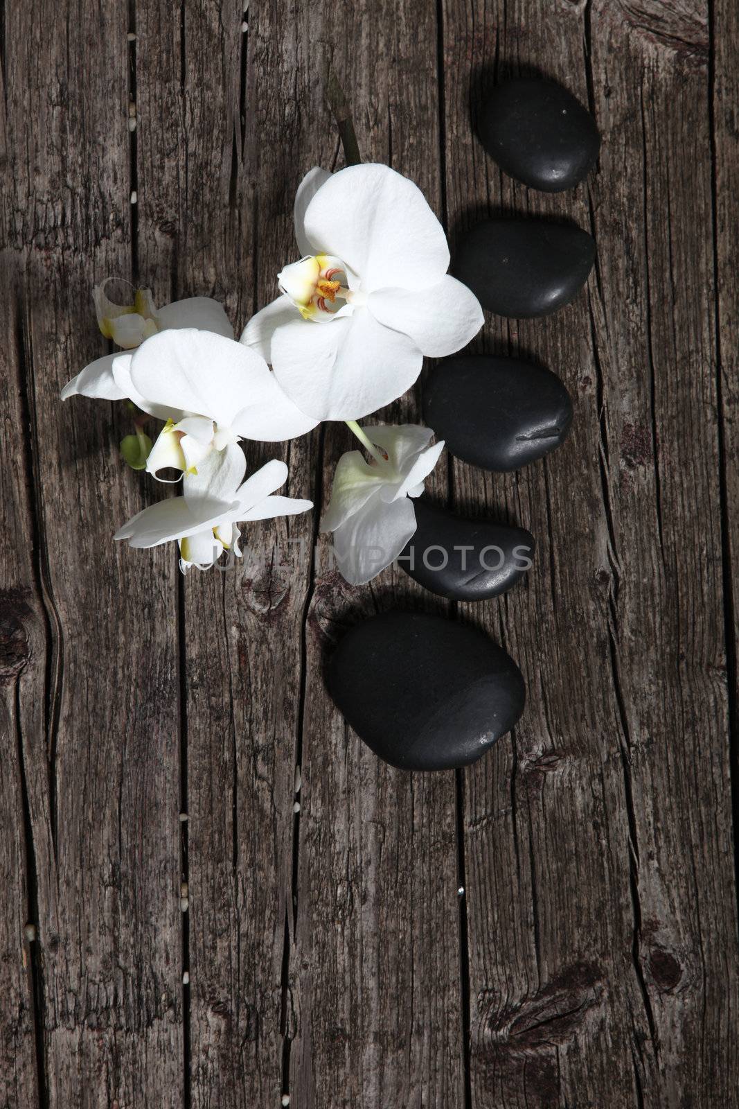 decorative arrangement with white flower and spa stones on wooden table