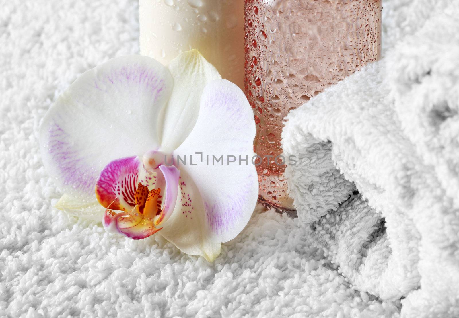 Bodycare products and a beautiful orchid