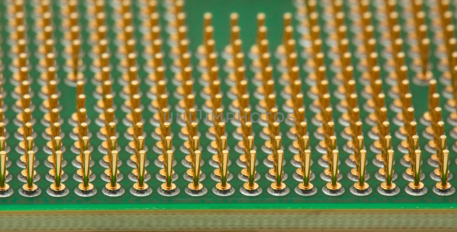 Golden processor pins