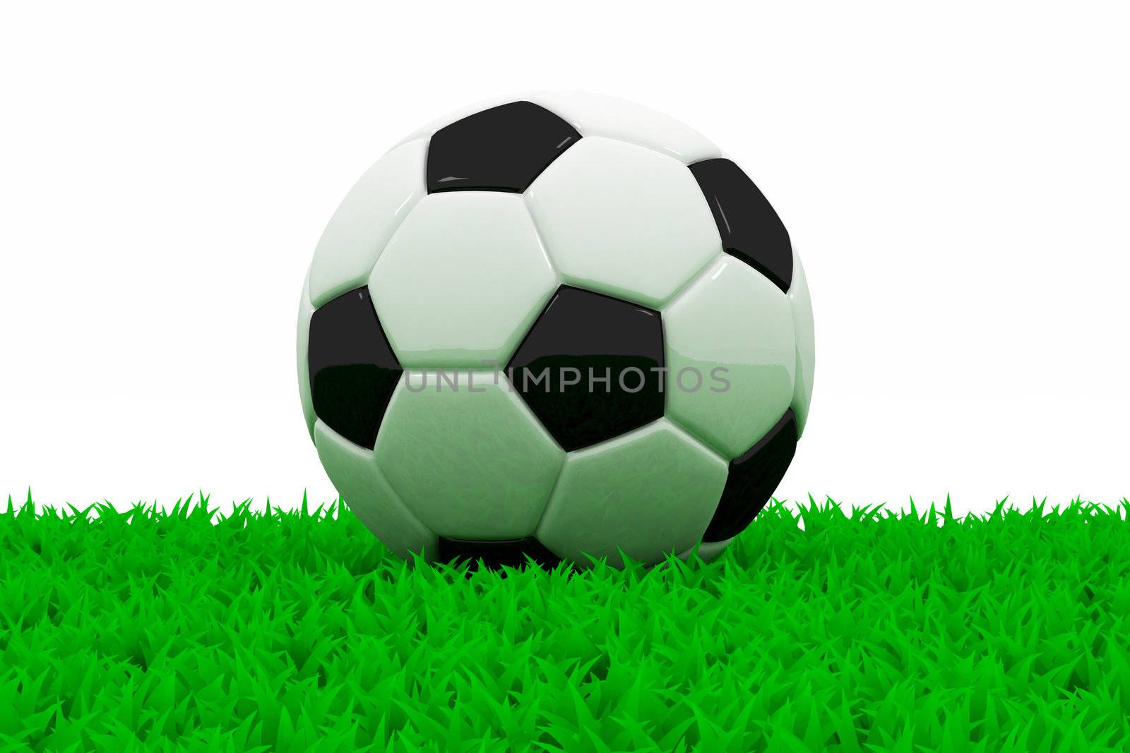 black and white football on green grass