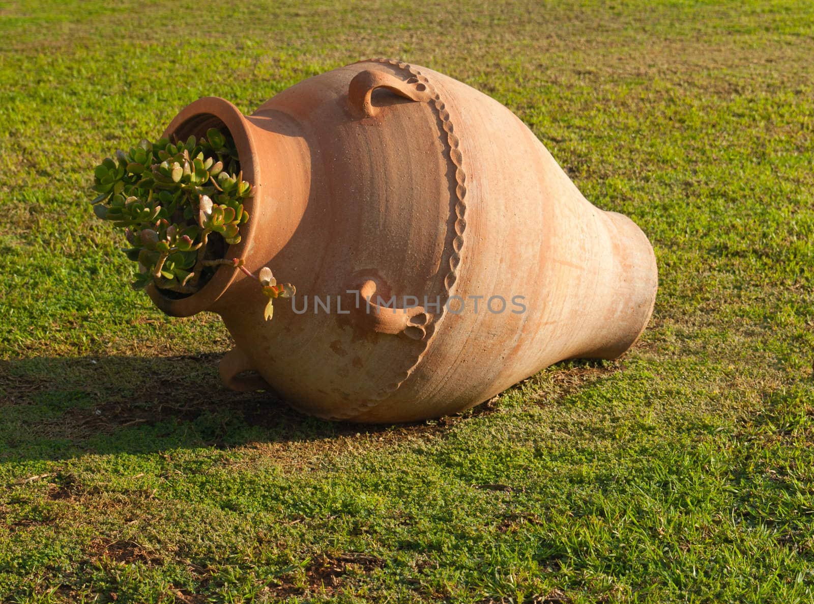 Greek ancient amphora on the lawn closeup