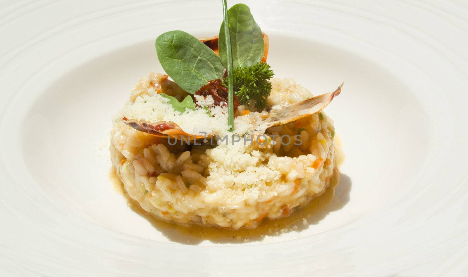 Risotto with lobster and rucola. Served with Parmesan Chip. Delicious Mediterranean dinner.