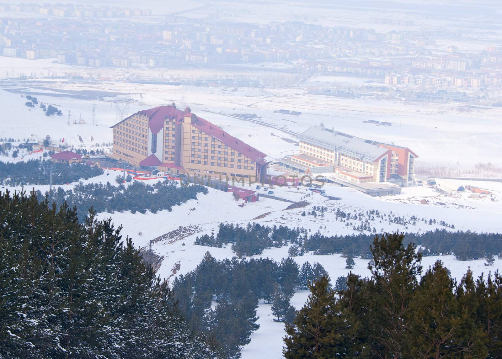 View of Palandoken and Erzurum from black ski route in forest