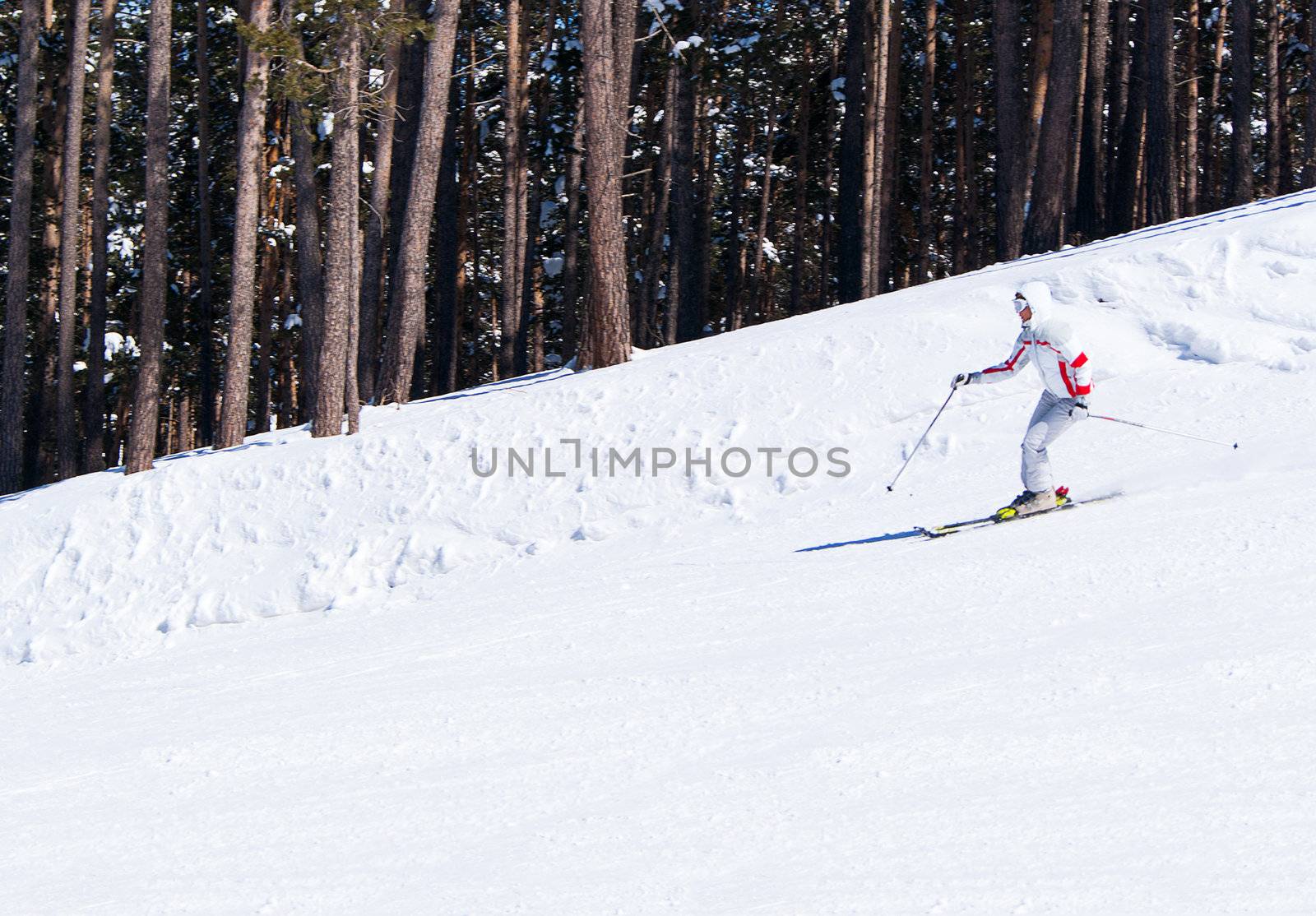 Beautiful skier in white blazer going down on slope in forest. Sarikamis. Turkey.