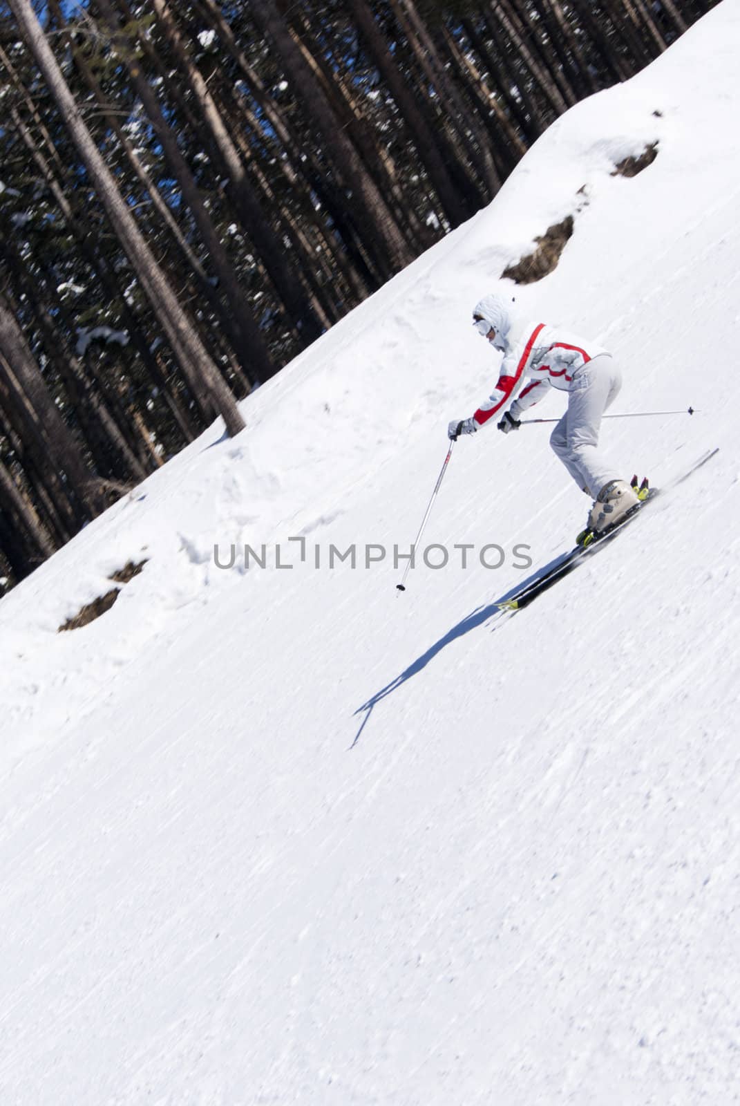 Beautiful skier skiing on the scarp in mountain`s forest