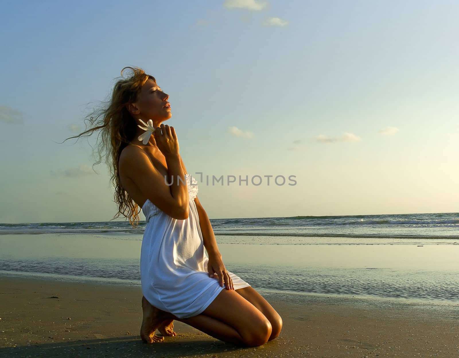 Gorgeous woman in white dress kneel on the beach on sunset