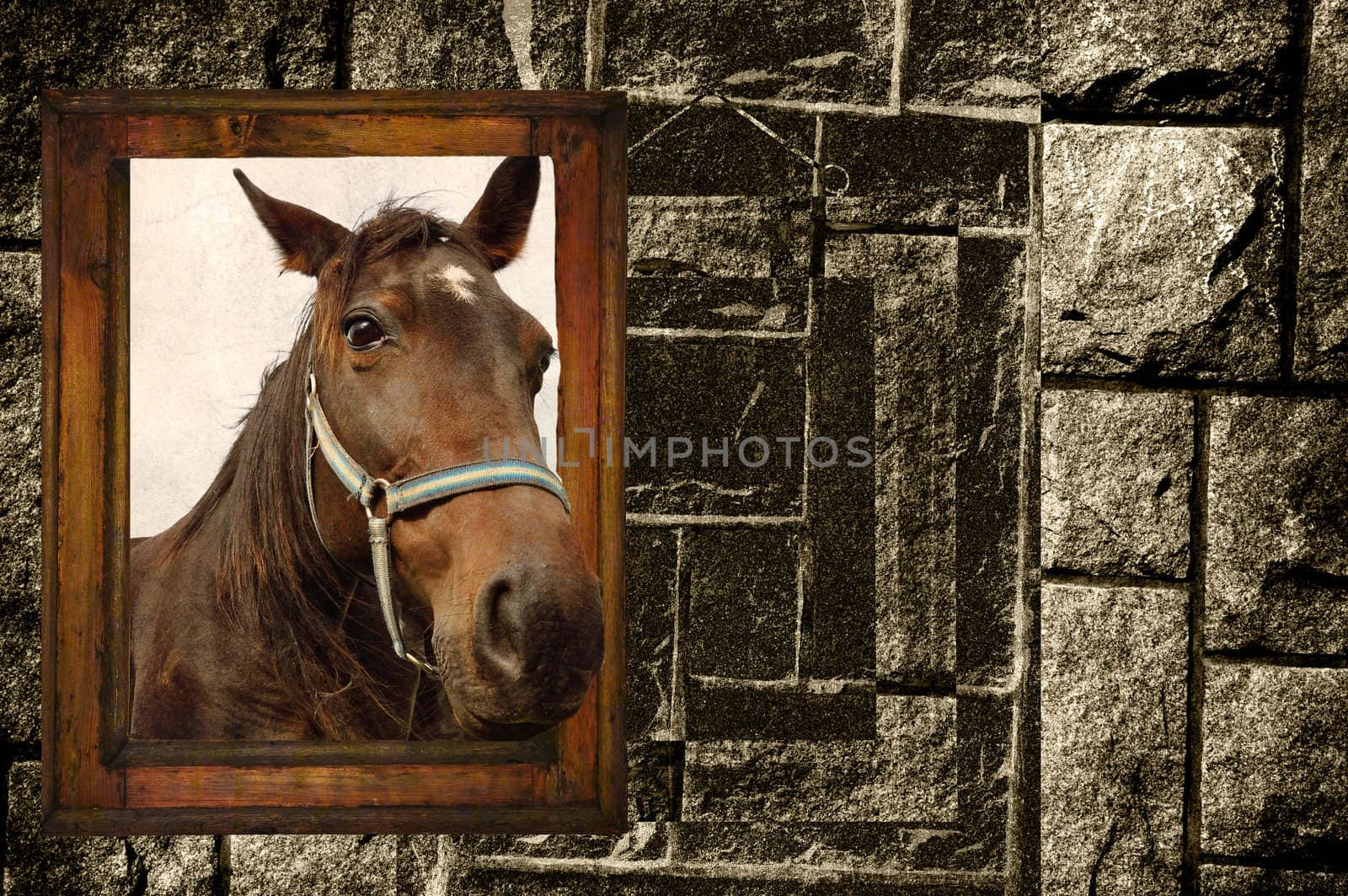 Old wooden frame ,with a horse, in front of an old black and white stonewall.