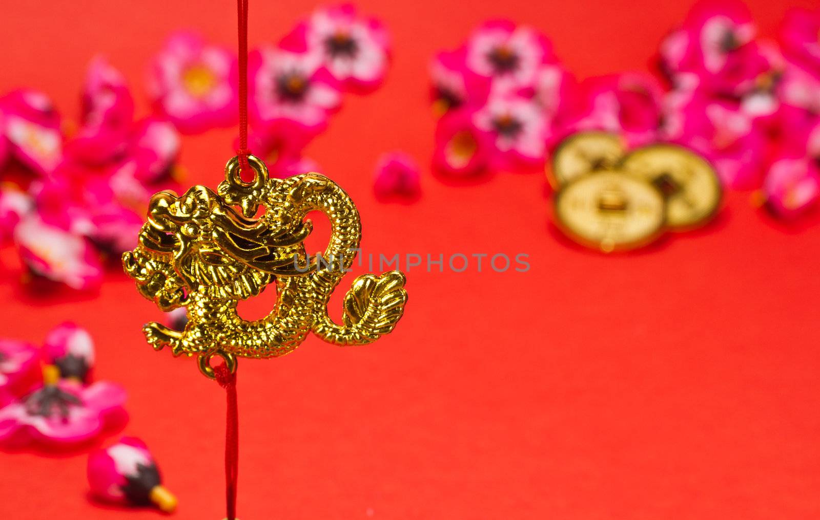 Chinese New Year dragon ornament on red background with cherry blossom for festive using