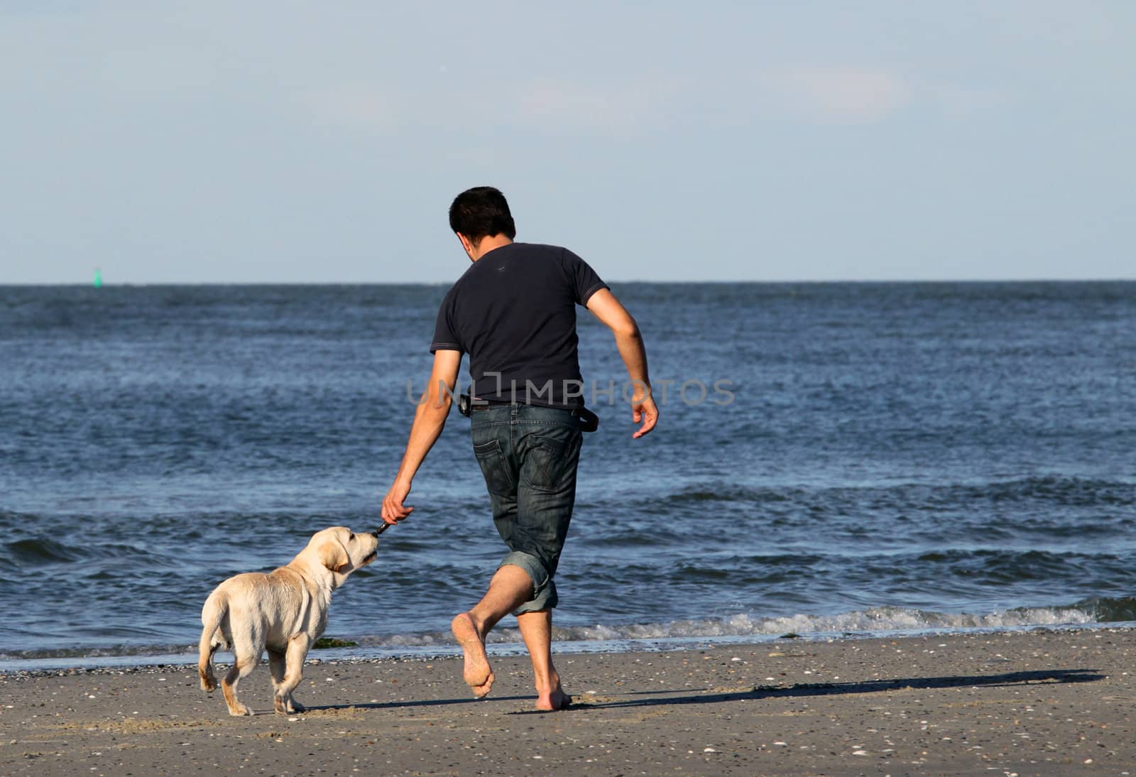 A man and a labrador puppy running along the beach