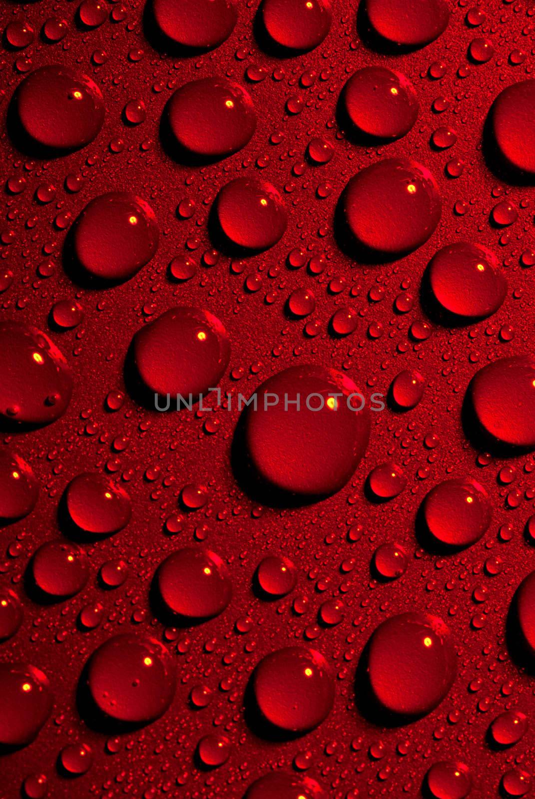 Crystal clear water drops over red background